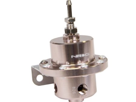 NRG Double Diaphragm Fuel Regulator - Titanium Online